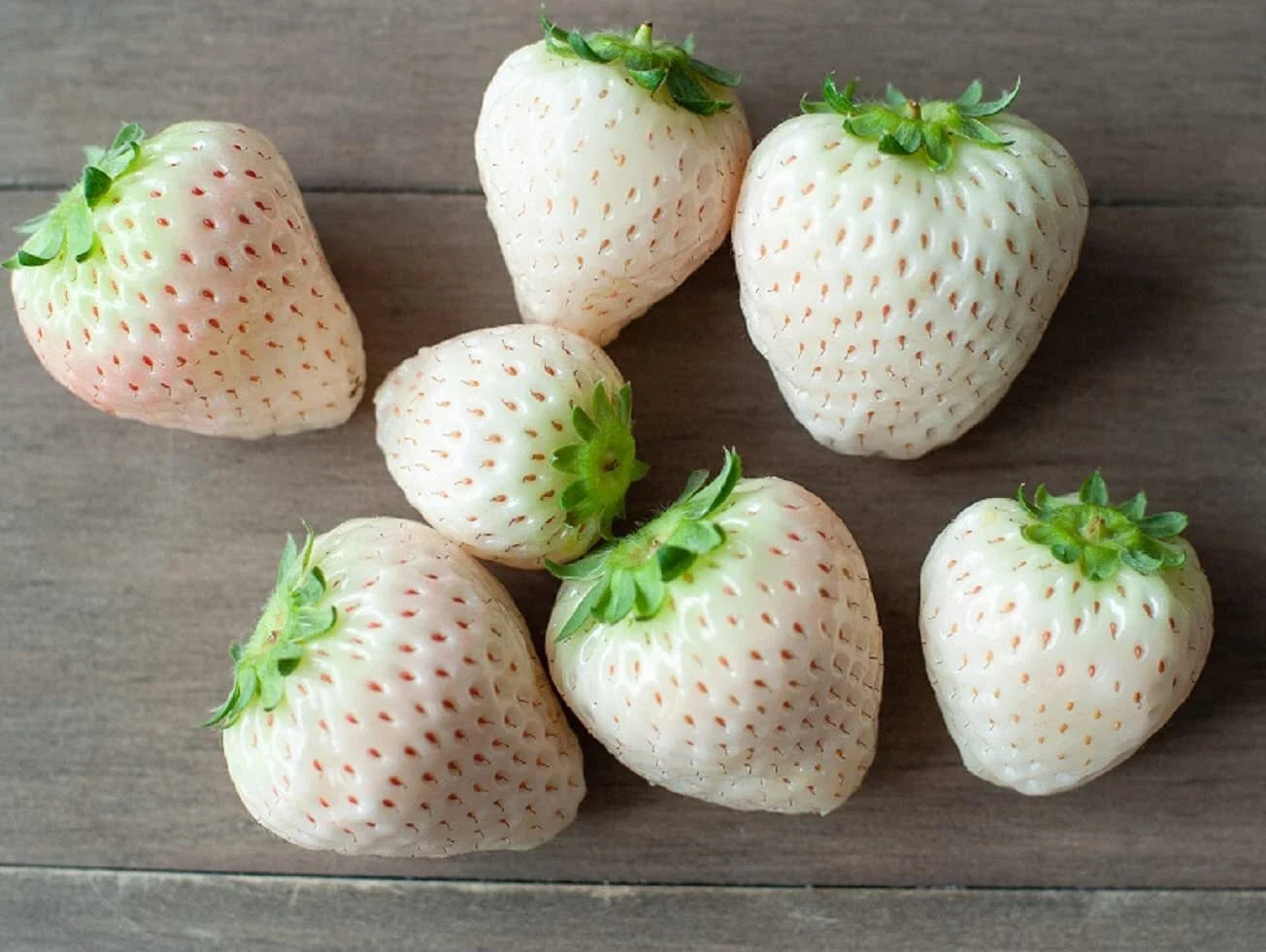 White Strawberry Seeds - 1,000+ Pineberry Fragaria chiloensis USA Grown, White Pineberry Seeds for Garden, Container & Raised Bed