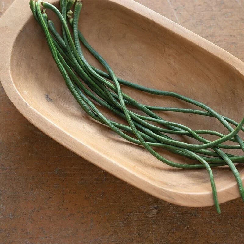 Python Yard Long Bean Seeds - 20 Organic Heirloom Seeds - Vigna unguiculata sesquipedalis