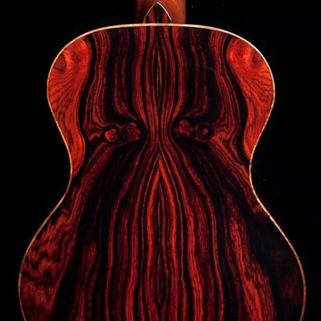 Cocobolo Tree Seeds - Dalbergia retusa for Fine Woodwork Planting