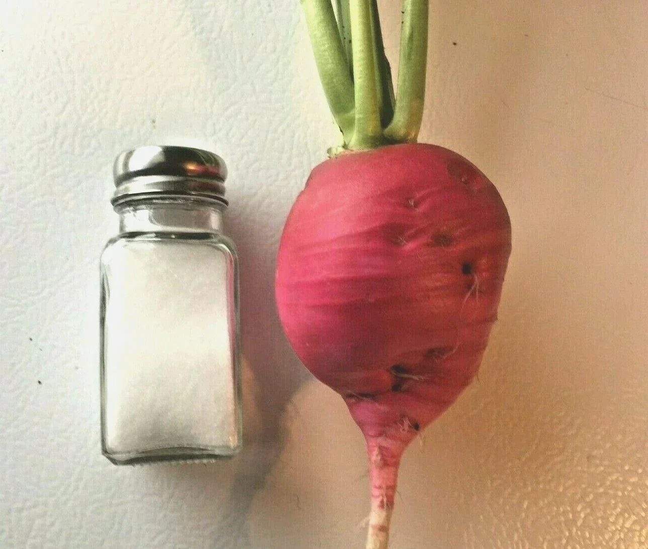 German Giant Radish Seeds - 300+ Organic Heirloom Raphanus sativus for Garden & Container