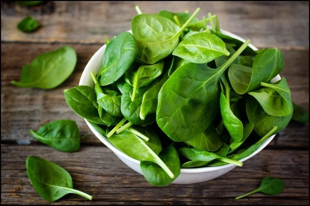 Giant Noble Spinach Seeds - Non-GMO Heirloom Vegetable Seeds for Organic Gardening - Spinacia oleracea, 31,000+ Seeds