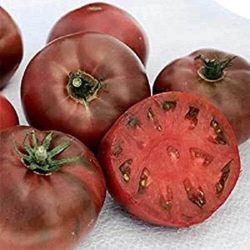 Carbon Black Heirloom Seeds - 25 Pack, Full Sun, High Germination, Robust Growth, Perfect for Home Gardens