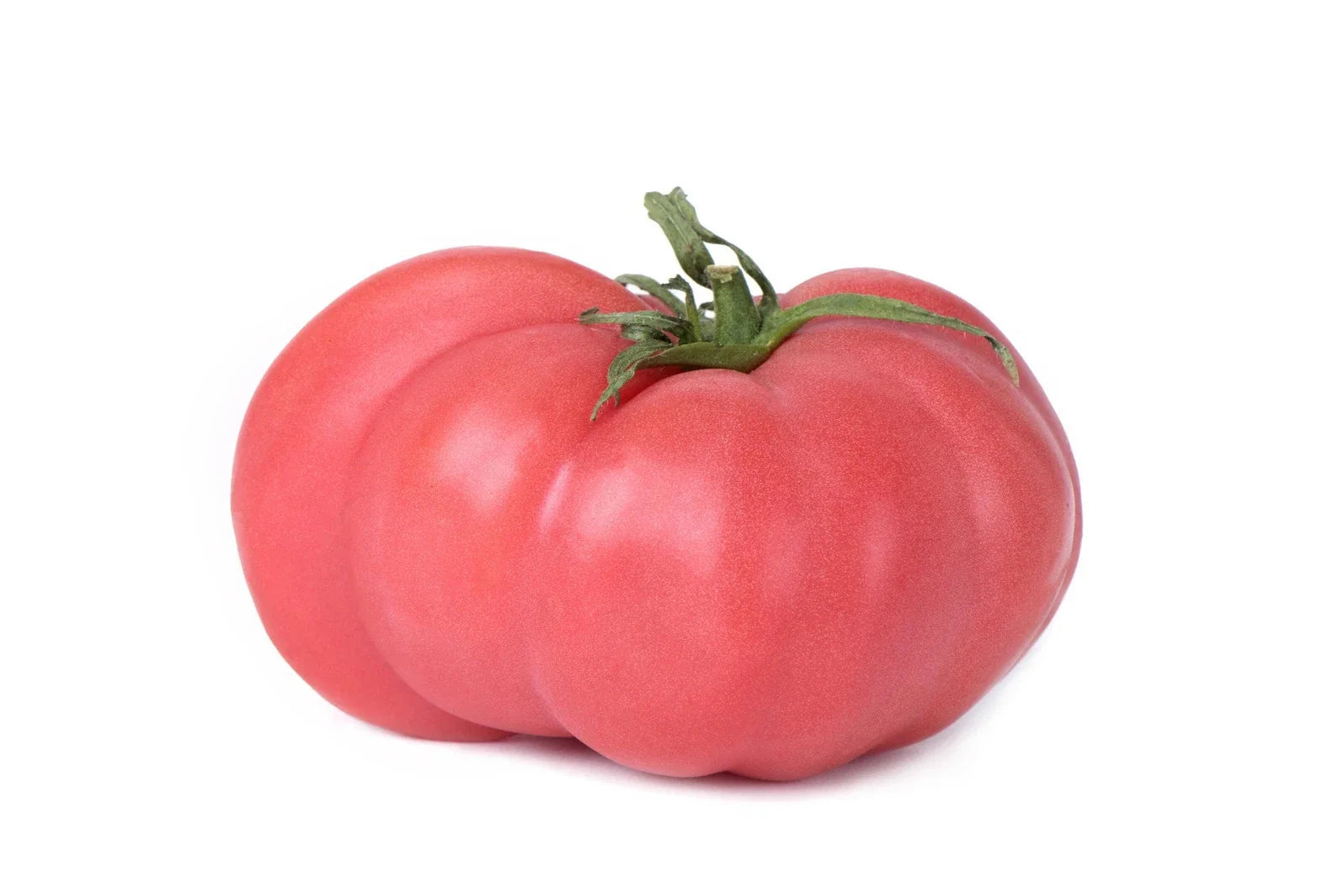 Brandywine Pink Tomato Seeds - Non-GMO Heirloom Solanum lycopersicum for Gardening, Juicy, Flavorful, Indeterminate, Seed Packet