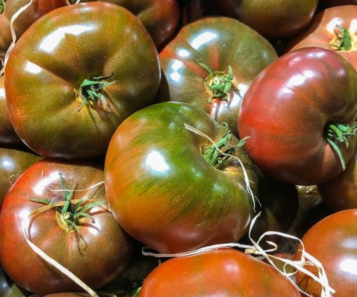 Black Krim Tomato Seeds - Indeterminate Heirloom Variety for Home Garden, Solanum lycopersicum, 100+ Seeds