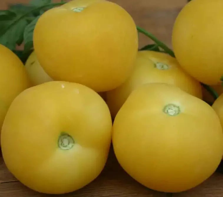 Garden Peach Tomato Seeds - 50+ Indeterminate Rare Vegetable Plants for Salad Slicing