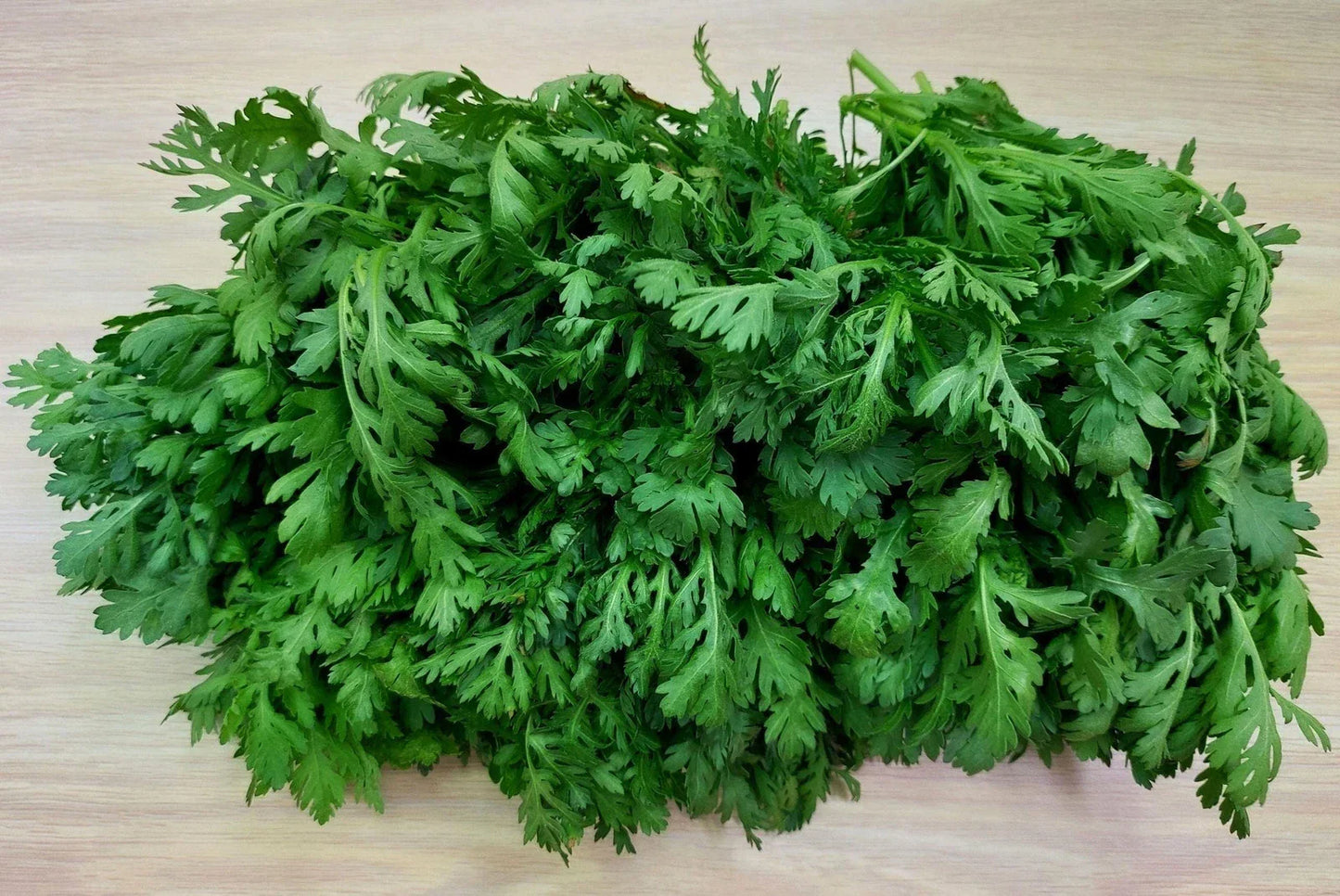 Shungiku Seeds 100g - Asian Greens Edible Chrysanthemum (Glebionis coronaria)