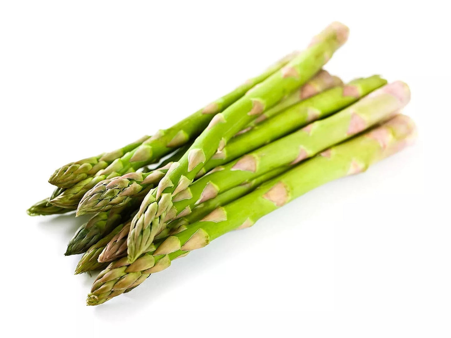 Mary Washington Asparagus Seeds - Organic Heirloom Non-GMO Vegetable Seeds for Home Garden Cultivation
