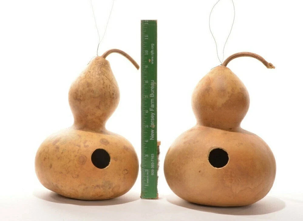 Birdhouse Bottle Gourd Seeds, Heirloom Vine for Crafts & Gardens, Lagenaria siceraria, DIY Birdhouse Plant, 15+ Seeds