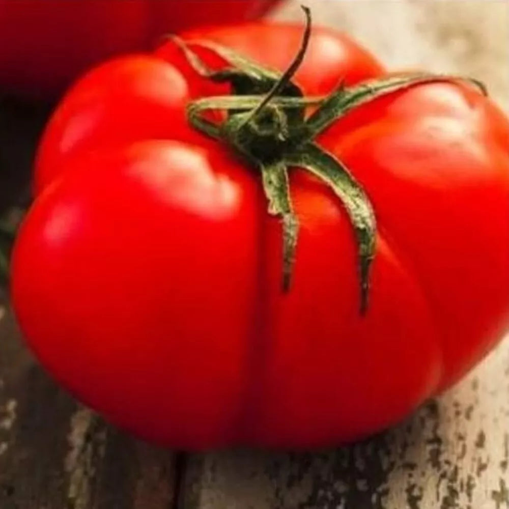 Beefsteak Tomato Seeds - Heirloom, NON-GMO, Large Fruits, Solanum lycopersicum, Vegetable Seeds for Home Garden
