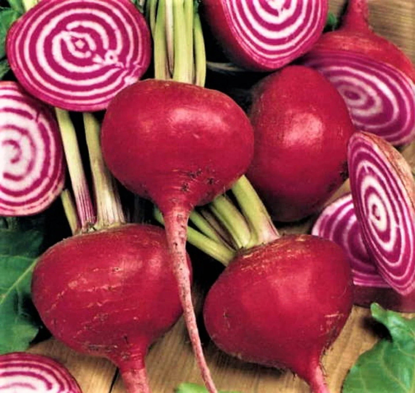 Crosby Egyptian Beet Seeds 100+ Non-GMO Beta vulgaris