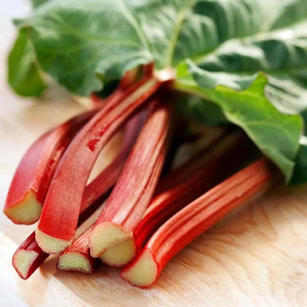 Victoria Red Rhubarb Seeds - 50 Perennial Planting Seeds Rheum rhabarbarum for Garden or Containers