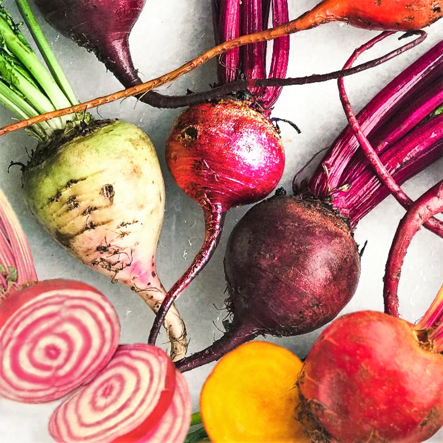 Rainbow Mix Beet Seeds - 5 Species Blend in Mixed Colors - Beta vulgaris - Vegetable Garden Seeds for Spring Planting