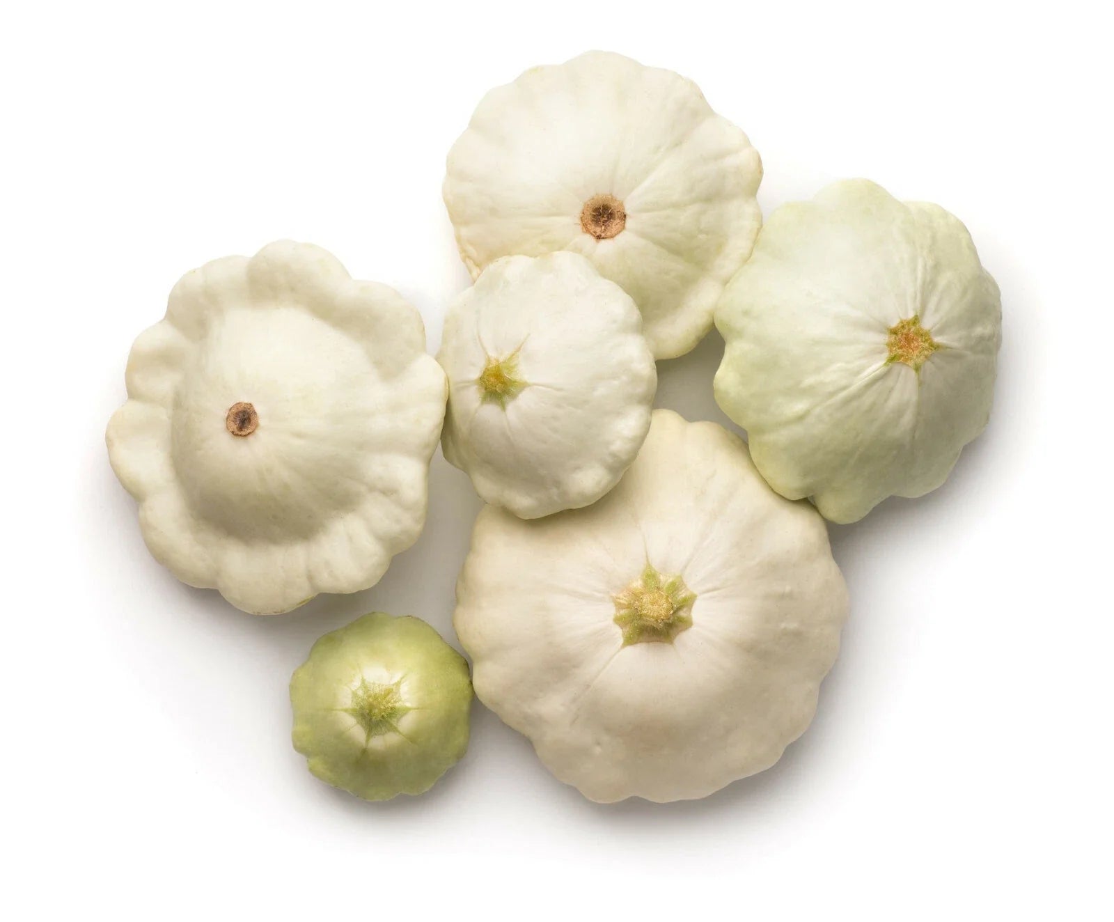 Early White Patty Pan Scallop Squash Seeds – Cucurbita pepo, Compact Bush Plant, 50 Seeds for Garden & Container Planting