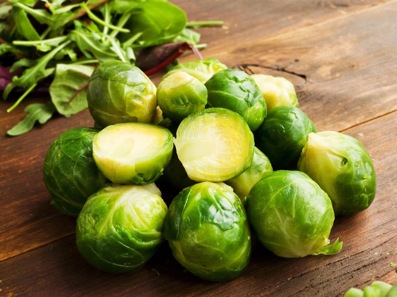 Brussel Sprouts Seeds 1000 Count Long Island Variety Brassica oleracea - Nutritious, High Yield, Cool Climate Suitable