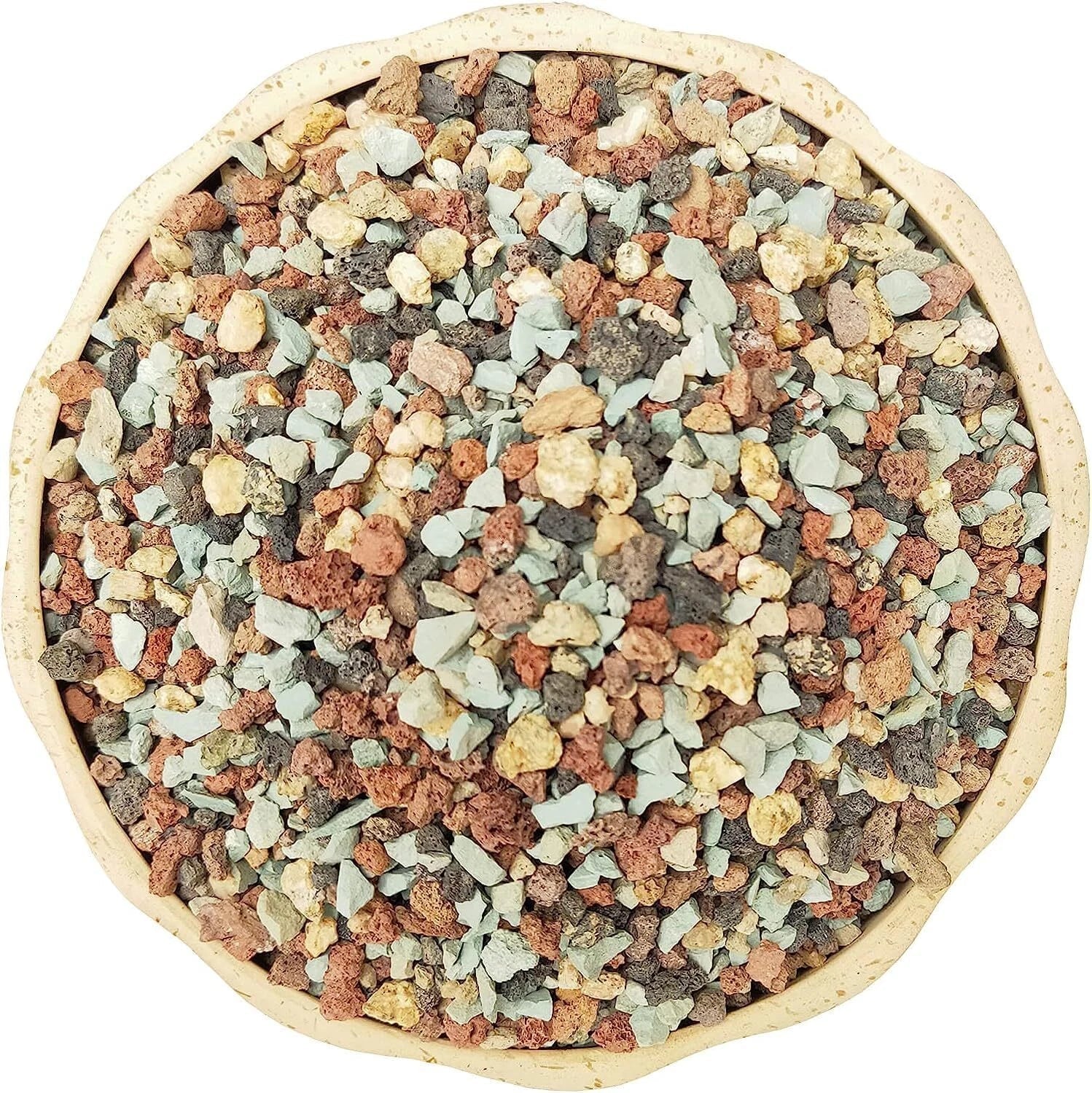 5Lb Succulent Soil Mix Gritty Blend for Cacti and Drought-Tolerant Plants – Excellent Drainage & Root Health