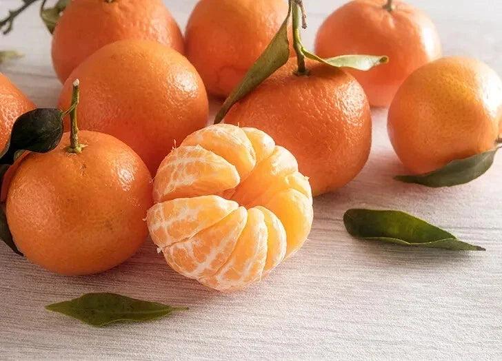 Clementine Orange Seeds - 5+ Pack for Garden Planting - Citrus reticulata - Fruit Tree, Juicy, USA Grown