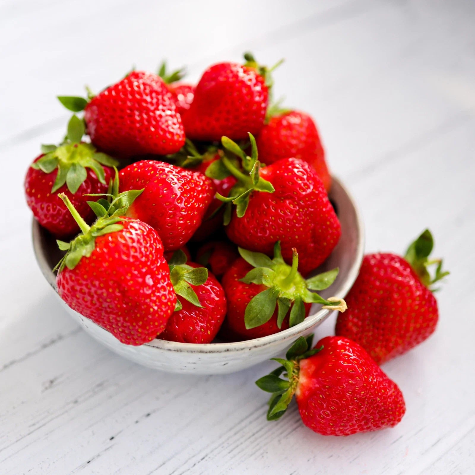 Everbearing Strawberry Roots - Bare Root Plants - Fragaria × ananassa - Sweet, Juicy, Perennial Garden Plants