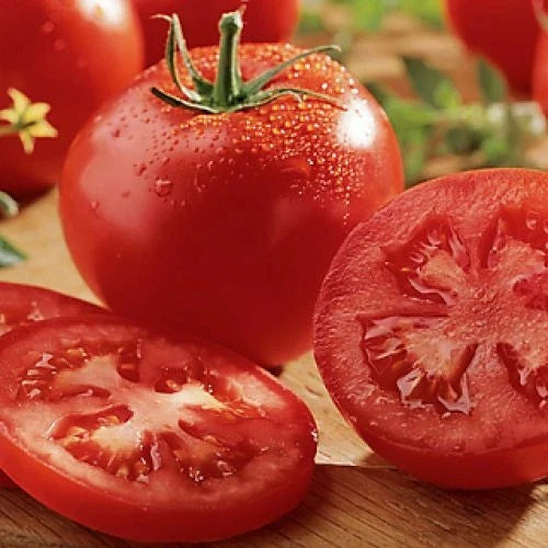Celebrity Tomato Seeds F1 Hybrid Non-GMO Heirloom Solanum lycopersicum for Home Gardening