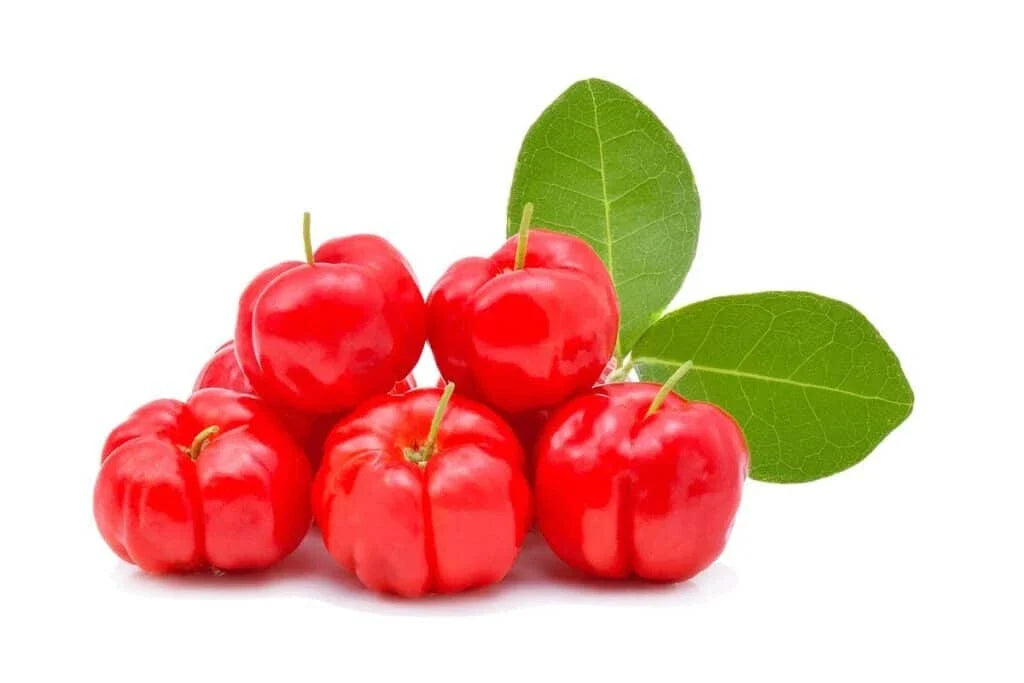 Acerola Cherry Seeds - 10+ Pack for Garden Planting - Malpighia emarginata - Tropical Fruit Seeds for Home Garden