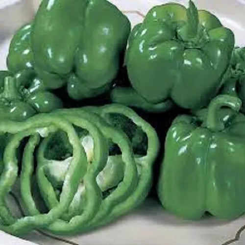 Premium California Bell Pepper Seeds - Capsicum annuum, Sweet, Vibrant Colors, 50 Seeds, Easy to Grow, Full Sun, Home Garden