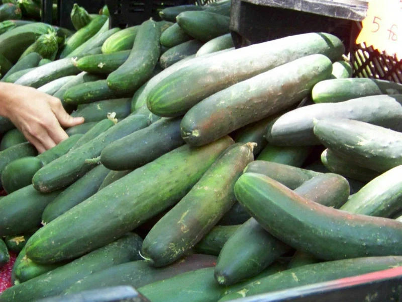 Straight Eight Slicing Cucumber Seeds 100+ Count - Cucumis sativus Heirloom Variety for Home Garden, Vining, Crisp, Green