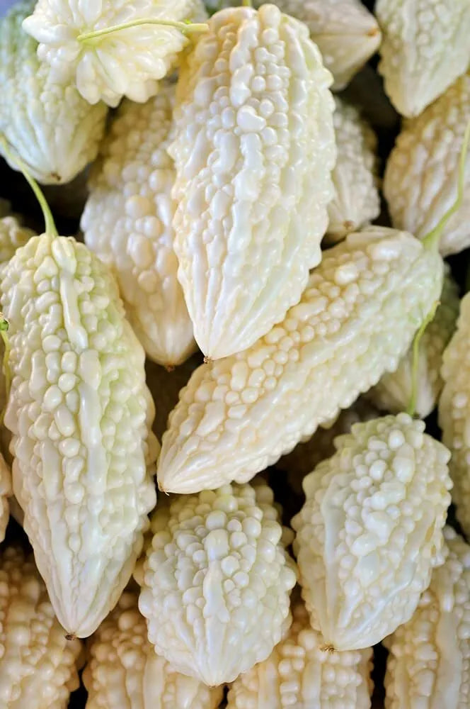 White Bitter Melon Seeds - 6 Pack, Momordica charantia, Vining, Organic, for Gardening & Cooking