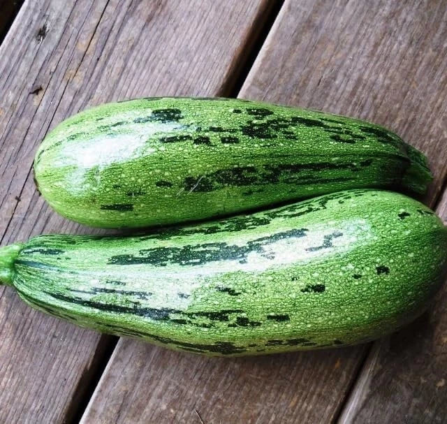 Caserta Squash Seeds 10 Pack - Heirloom Cucurbita pepo Vegetable Seeds for Planting