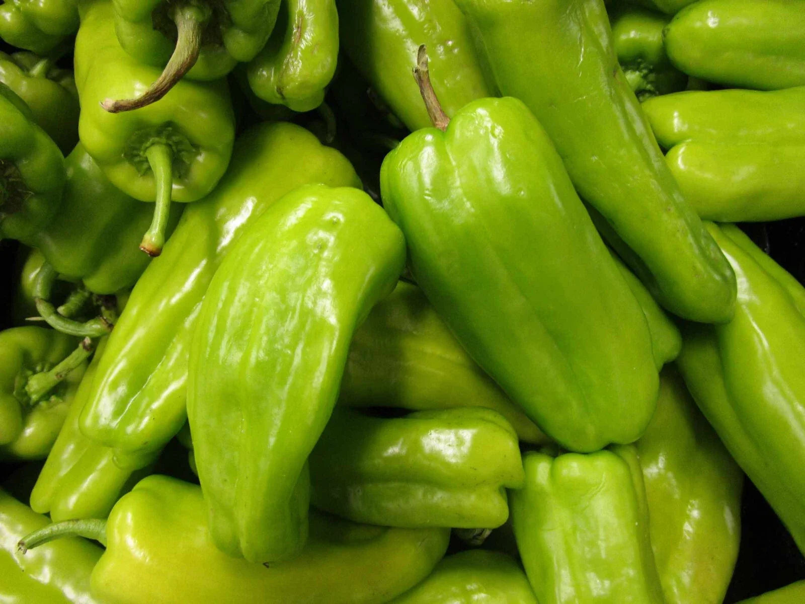 Cubanelle Pepper Seeds - 100 Count, Capsicum Annuum, Heirloom Variety for Home Gardening, Mild Flavor, Green to Yellow Color