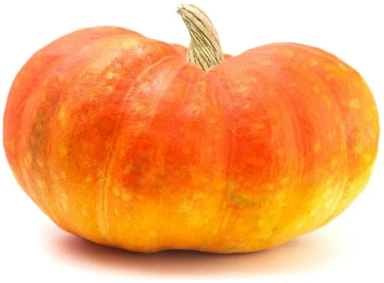 Cinderella Pumpkin Seeds - 20 Pack Heirloom Cucurbita pepo Fall Decor & Culinary Pumpkin Seeds
