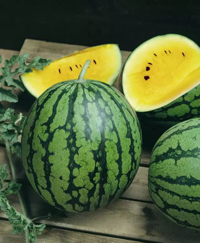 Baby Doll Yellow Watermelon Seeds - Compact, Extra Sweet, Yellow Flesh Citrullus lanatus