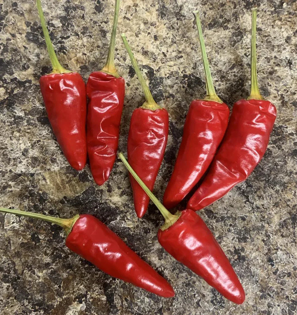 Paprika Spice Pepper Seeds - Heirloom Non-GMO Capsicum annuum - 25 Seeds