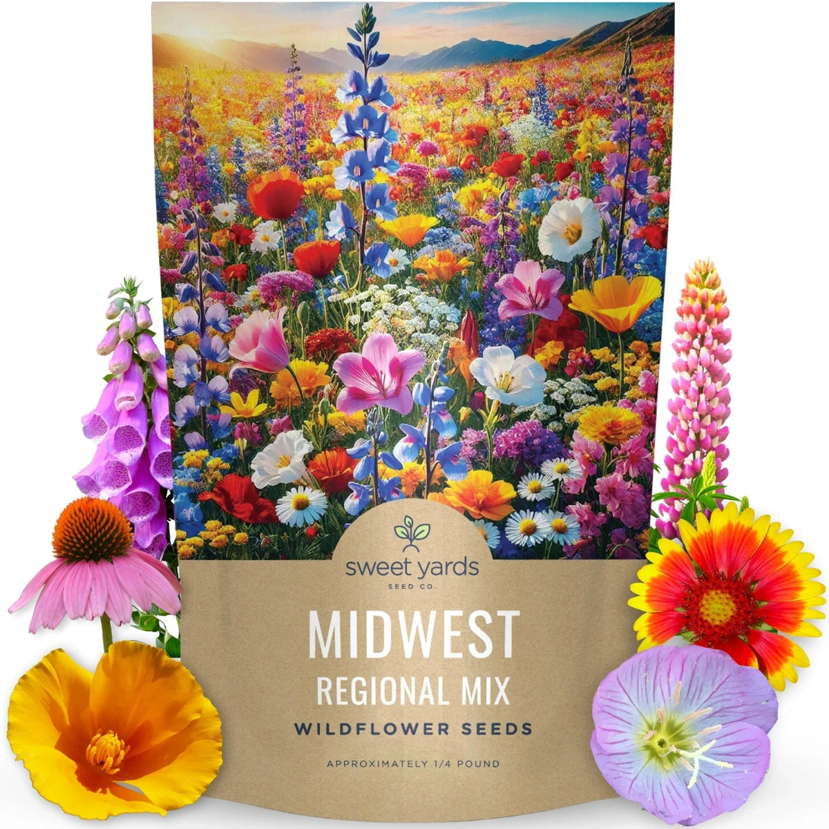 Wildflower Seed Mix Bulk 1/4 Pound Midwest Native Wildflowers for Pollinators, Bees & Butterflies