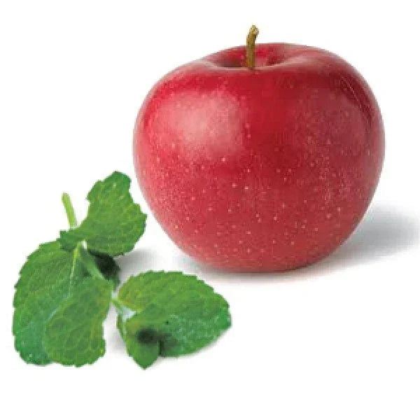 Apple Mint Seeds - 1000 Seeds - Mentha suaveolens - Aromatic Medicinal Herb