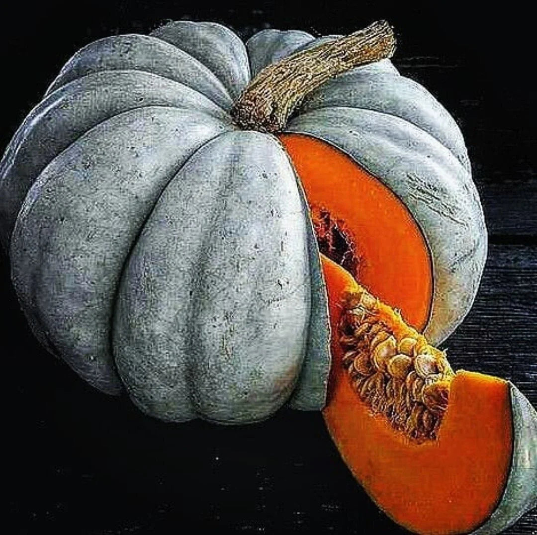 Jarrahdale Blue Pumpkin Seeds - 15 Pack, Queensland Cinderella Doll, Cucurbita maxima, Organic, Heirloom, Vining, Full Sun