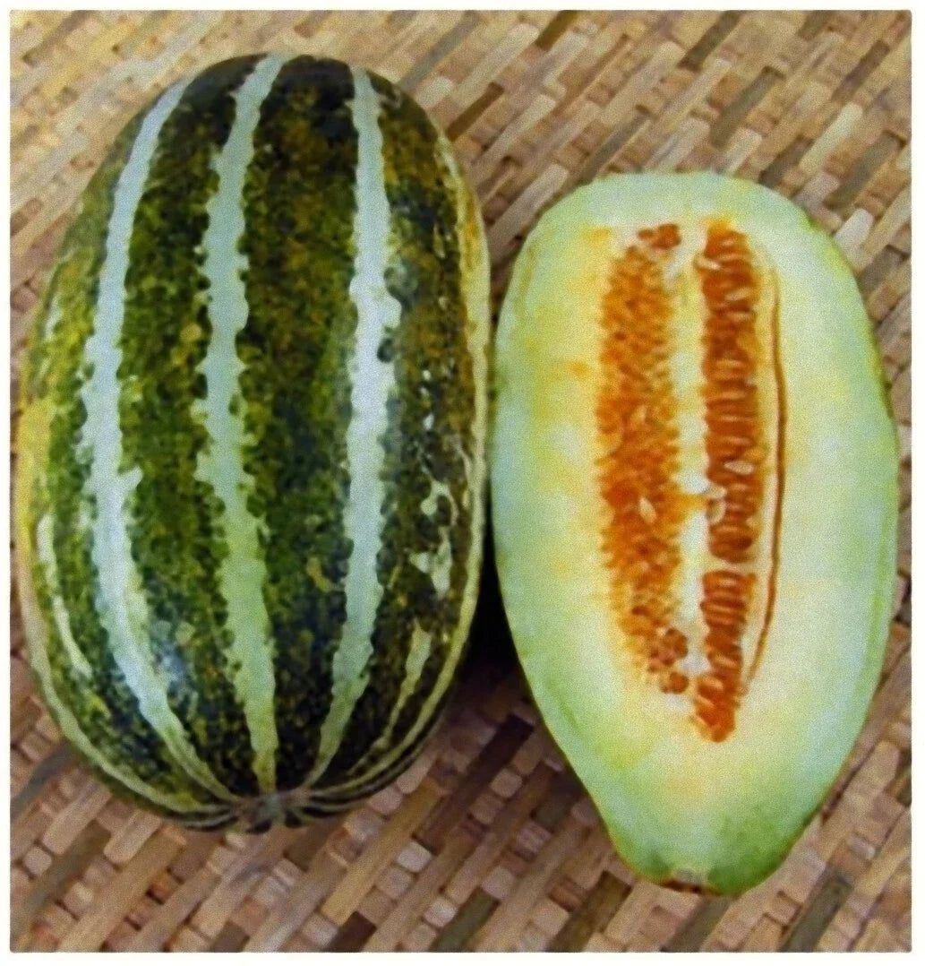 Thai Melon Seeds - 20+ Cucumis melo var. inodorus Muskmelon Seeds for Home Garden, Sweet, Aromatic, Non-GMO, Vietnam Dua Gang Seed