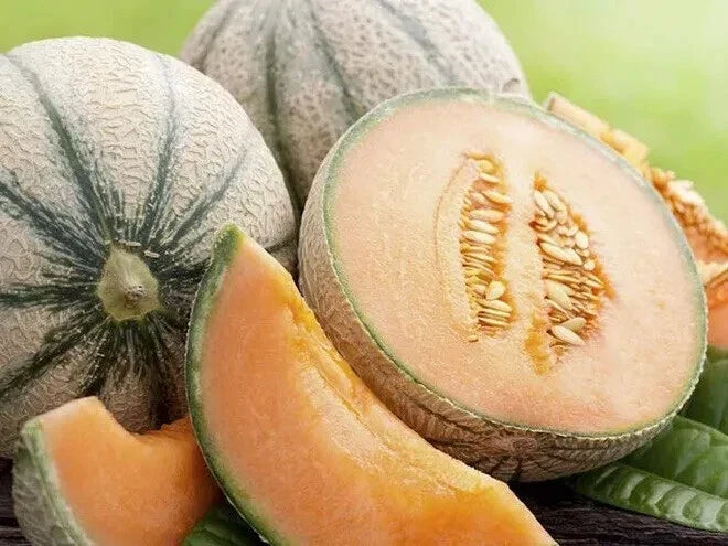 Extra Sweet Tuscan Cantaloupe Seeds - 50 Pack, Rockmelon, Cucumis melo, Heirloom Variety for Home Gardening 2024