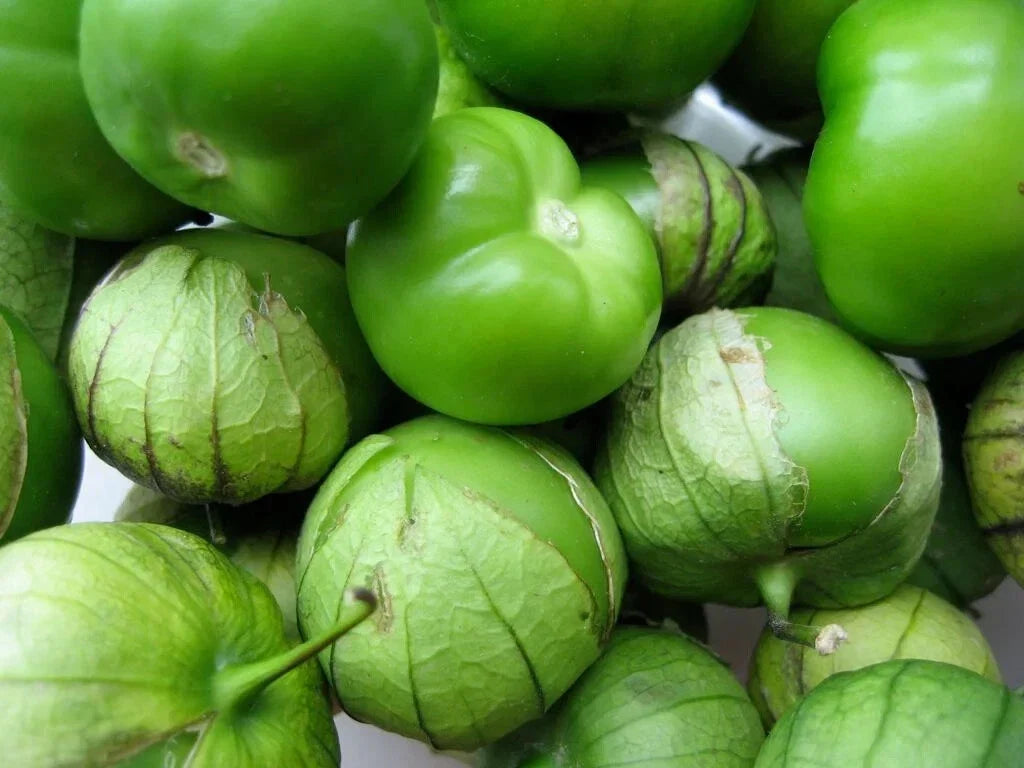 Grande Rio Verde Tomatillo Seeds - 50 Non-GMO Organic Mexican Husk Tomato for Salsas & Sauces, Physalis philadelphica