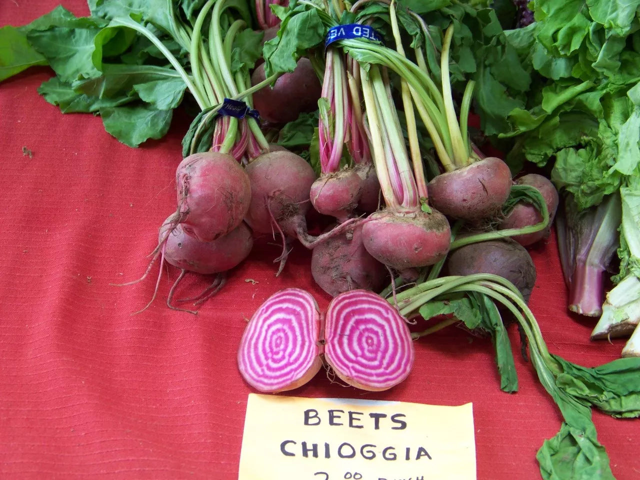165 Seeds Chioggia Candystripe Bullseye Beet - Beta vulgaris Non-GMO Vegetable Seeds