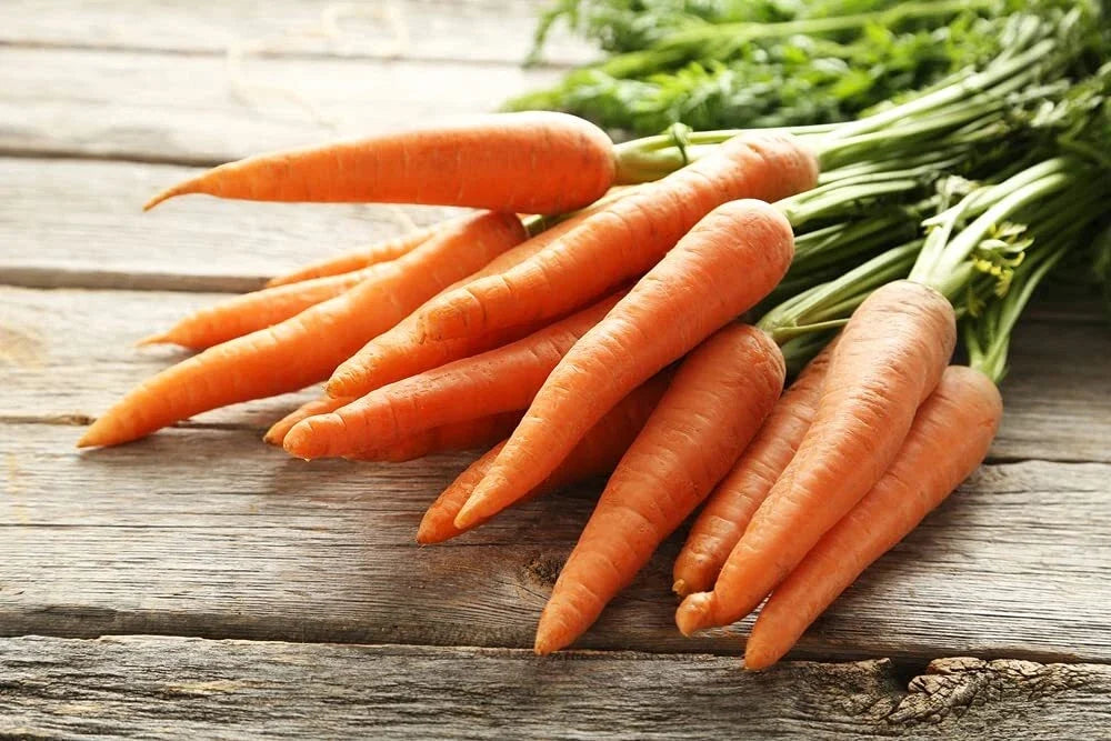 Scarlet Nantes Carrot Seeds - Heirloom Daucus carota, 100+ Seeds for Home Gardening, Sweet Orange Root, Easy to Grow