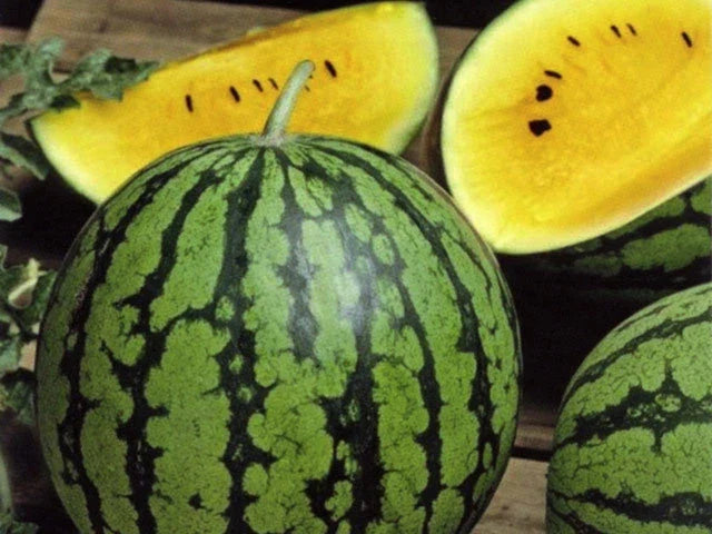 Baby Doll Watermelon Seeds - Heirloom Citrullus lanatus, Small Sweet Melons for Home Gardening, Non-GMO, Container-Friendly