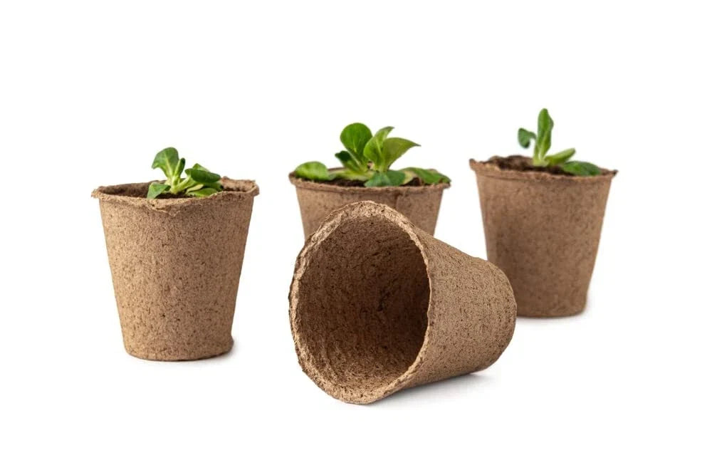 Biodegradable 3 Inch Starter Pots - 20 Pack for Herbs, Vegetables & Trees - Eco-Friendly Planting Containers