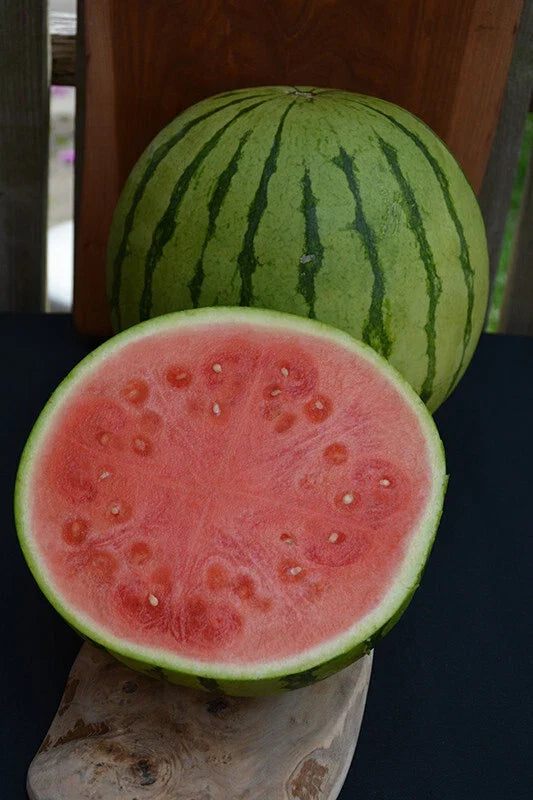 Tiger Baby Watermelon Seeds - 50+ Pack, Citrullus lanatus, Non-GMO, USA Grown, for Garden & Container Planting