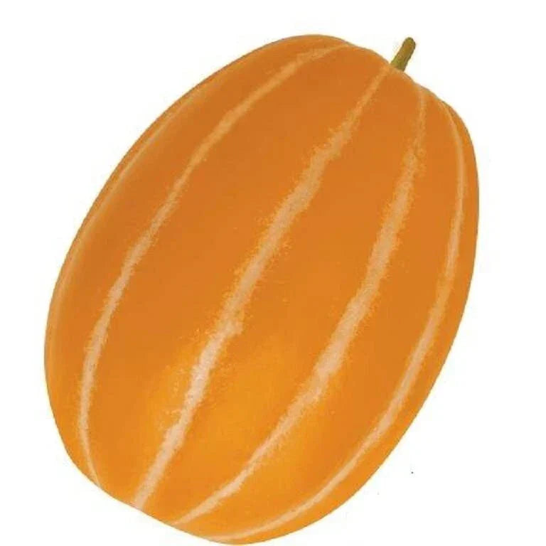 Korean Melon Seeds - 10 Pack - Rare Orange Skinned Melon Dae Jang Geum
