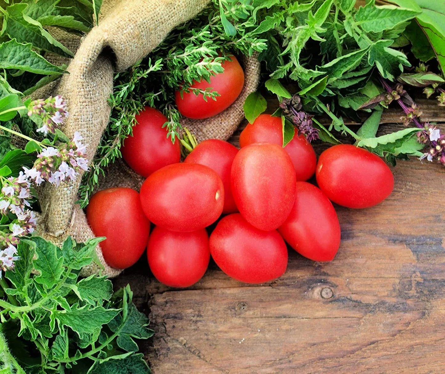 Pink Cherry Tomato Seeds - Heirloom Solanum lycopersicum, 40 Count for Planting, Juicy, Sweet, Compact Growth