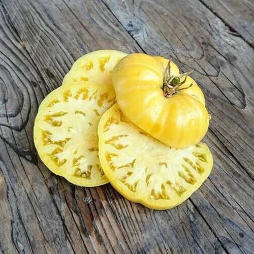 25 White Wonder Beefsteak Heirloom Tomato Seeds - Solanum lycopersicum