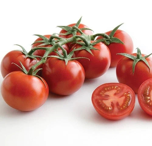 Sweet Campari Tomato Seeds - 50 Premium Fresh Harvest Solanum lycopersicum, Juicy, Red, Open-Pollinated, Non-GMO, for Container & Garden