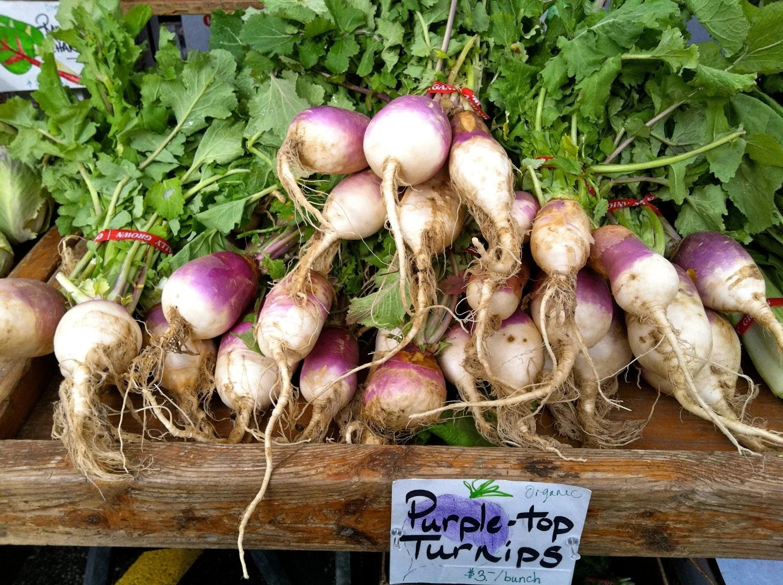 Turnip Seeds 200 Count Purple Top White Globe Brassica rapa for Greens & Roots, Easy to Grow