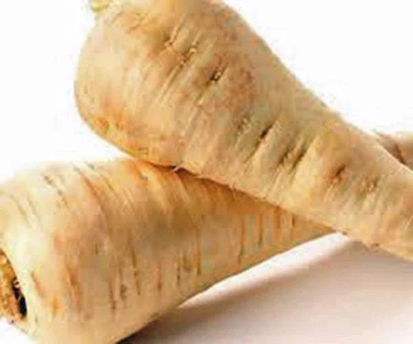 Parsnip Seeds 50+ Non-GMO All American Heirloom Pastinaca sativa Root Vegetable Pack