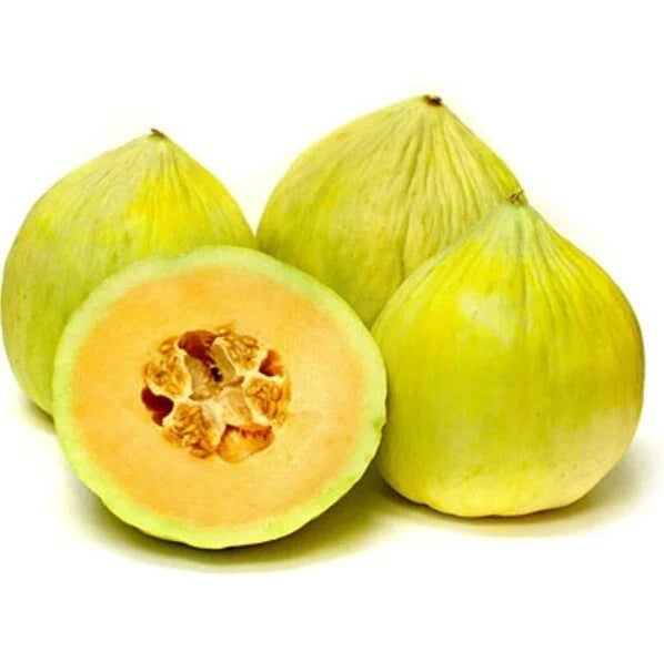 Crenshaw Melon Seeds 1/4 LB, Sweet Cantaloupe, Cucumis melo, Heirloom Variety for Home Gardening