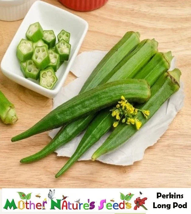 Okra Seeds - Perkins Long Pod Heirloom Non-GMO for Pickling & Gumbo, High Yield Abelmoschus esculentus, 50 Seeds